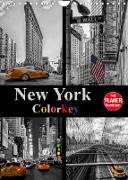 New York Colorkey (Wandkalender 2023 DIN A4 hoch)