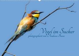 Vögel im Sucher (Wandkalender 2023 DIN A2 quer)