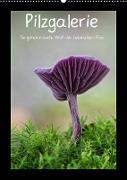 Pilzgalerie - Die geheimnisvolle Welt der heimischen Pilze (Wandkalender 2023 DIN A2 hoch)