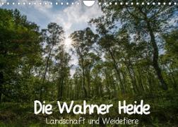 Die Wahner Heide - Landschaft und Weidetiere (Wandkalender 2023 DIN A4 quer)