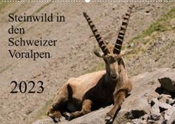 Steinwild in den Schweizer Voralpen (Wandkalender 2023 DIN A2 quer)