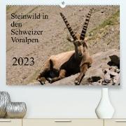 Steinwild in den Schweizer Voralpen (Premium, hochwertiger DIN A2 Wandkalender 2023, Kunstdruck in Hochglanz)