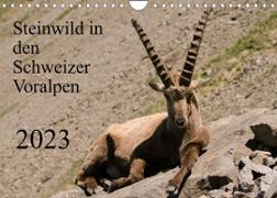 Steinwild in den Schweizer Voralpen (Wandkalender 2023 DIN A4 quer)