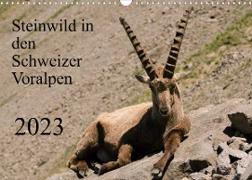 Steinwild in den Schweizer Voralpen (Wandkalender 2023 DIN A3 quer)