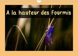 A la hauteur des fourmis (Calendrier mural 2023 DIN A4 horizontal)