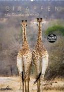 Giraffen - Die Riesen Afrikas (Wandkalender 2023 DIN A2 hoch)