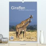 Giraffen - Die Grazien in Afrikas Savannen (Premium, hochwertiger DIN A2 Wandkalender 2023, Kunstdruck in Hochglanz)