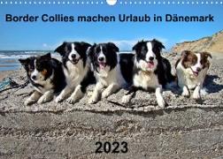 Border Collies machen Urlaub in Dänemark (Wandkalender 2023 DIN A3 quer)