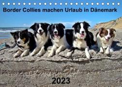 Border Collies machen Urlaub in Dänemark (Tischkalender 2023 DIN A5 quer)