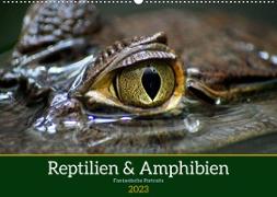 Reptilien & Amphibien Portraits (Wandkalender 2023 DIN A2 quer)