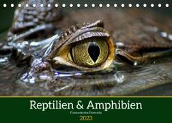Reptilien & Amphibien Portraits (Tischkalender 2023 DIN A5 quer)