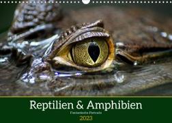 Reptilien & Amphibien Portraits (Wandkalender 2023 DIN A3 quer)