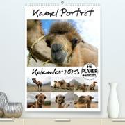 Kamel Porträt (Premium, hochwertiger DIN A2 Wandkalender 2023, Kunstdruck in Hochglanz)
