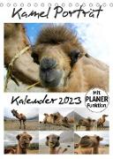 Kamel Porträt (Tischkalender 2023 DIN A5 hoch)