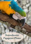 Kunterbunter Papageien-Planer (Wandkalender 2023 DIN A4 hoch)