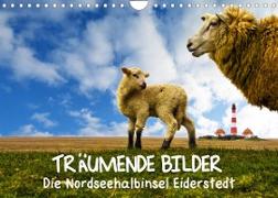 Träumende Bilder - Die Nordseehalbinsel Eiderstedt (Wandkalender 2023 DIN A4 quer)