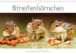 Streifenhörnchen - neugierige Nager (Wandkalender 2023 DIN A4 quer)