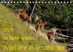Die Natur erleben - Wildtiere in GraubündenCH-Version (Tischkalender 2023 DIN A5 quer)