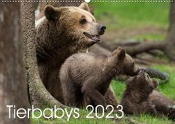 Tierbabys 2023 (Wandkalender 2023 DIN A2 quer)