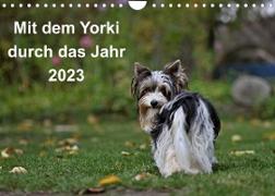 Mit dem Yorki durch das Jahr 2023 (Wandkalender 2023 DIN A4 quer)
