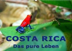Costa Rica - das pure Leben (Wandkalender 2023 DIN A2 quer)