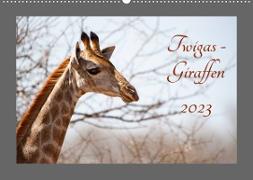 Twigas - Giraffen (Wandkalender 2023 DIN A2 quer)