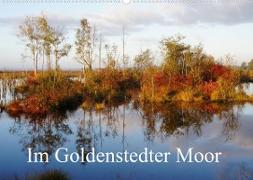 Im Goldenstedter Moor (Wandkalender 2023 DIN A2 quer)