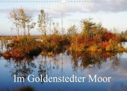 Im Goldenstedter Moor (Wandkalender 2023 DIN A3 quer)