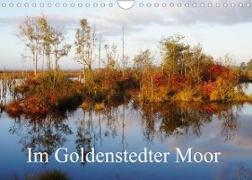 Im Goldenstedter Moor (Wandkalender 2023 DIN A4 quer)