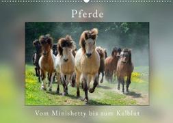 Pferde Vom Minishetty bis zum Kaltblut (Wandkalender 2023 DIN A2 quer)