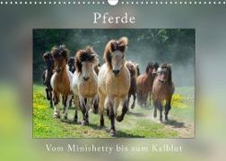 Pferde Vom Minishetty bis zum Kaltblut (Wandkalender 2023 DIN A3 quer)