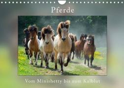 Pferde Vom Minishetty bis zum Kaltblut (Wandkalender 2023 DIN A4 quer)