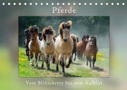 Pferde Vom Minishetty bis zum Kaltblut (Tischkalender 2023 DIN A5 quer)