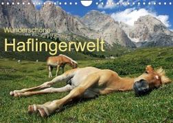 Wunderschöne Haflingerwelt (Wandkalender 2023 DIN A4 quer)