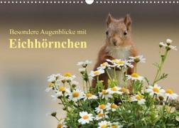 Besondere Augenblicke mit Eichhörnchen (Wandkalender 2023 DIN A3 quer)