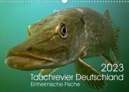Tauchrevier Deutschland (Wandkalender 2023 DIN A3 quer)