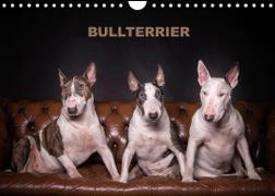 Bullterrier (Wandkalender 2023 DIN A4 quer)