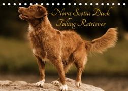 Nova Scotia Duck Tolling Retriever (Tischkalender 2023 DIN A5 quer)