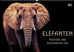 Elefanten - Portraits der besonderen Art (Wandkalender 2023 DIN A2 quer)