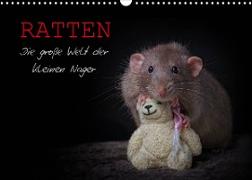 Ratten. Die große Welt der kleinen Nager (Wandkalender 2023 DIN A3 quer)