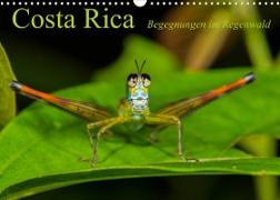 Costa Rica Begegnungen im Regenwald (Wandkalender 2023 DIN A3 quer)