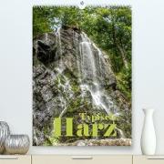 Typisch Harz (Premium, hochwertiger DIN A2 Wandkalender 2023, Kunstdruck in Hochglanz)
