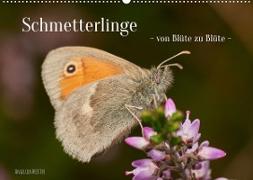 Schmetterlinge - von Blüte zu Blüte - (Wandkalender 2023 DIN A2 quer)