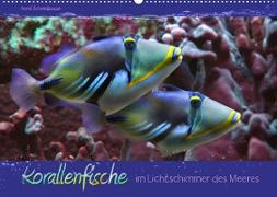 Korallenfische im Lichtschimmer des Meeres (Wandkalender 2023 DIN A2 quer)