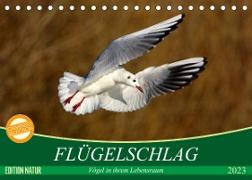 Flügelschlag - Vögel in ihrem natürlichen Lebensraum (Tischkalender 2023 DIN A5 quer)