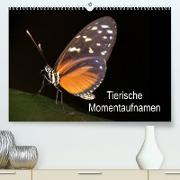 Tierische Momentaufnahmen (Premium, hochwertiger DIN A2 Wandkalender 2023, Kunstdruck in Hochglanz)