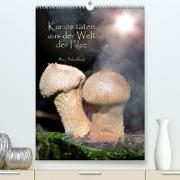Kuriositäten aus der Welt der Pilze (Premium, hochwertiger DIN A2 Wandkalender 2023, Kunstdruck in Hochglanz)
