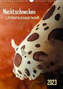 Nacktschnecken - Unterwasserwelt 2023 (Wandkalender 2023 DIN A3 hoch)