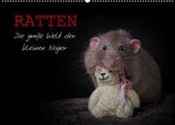 Ratten. Die große Welt der kleinen Nager (Wandkalender 2023 DIN A2 quer)
