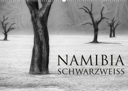 Namibia schwarzweiß (Wandkalender 2023 DIN A2 quer)